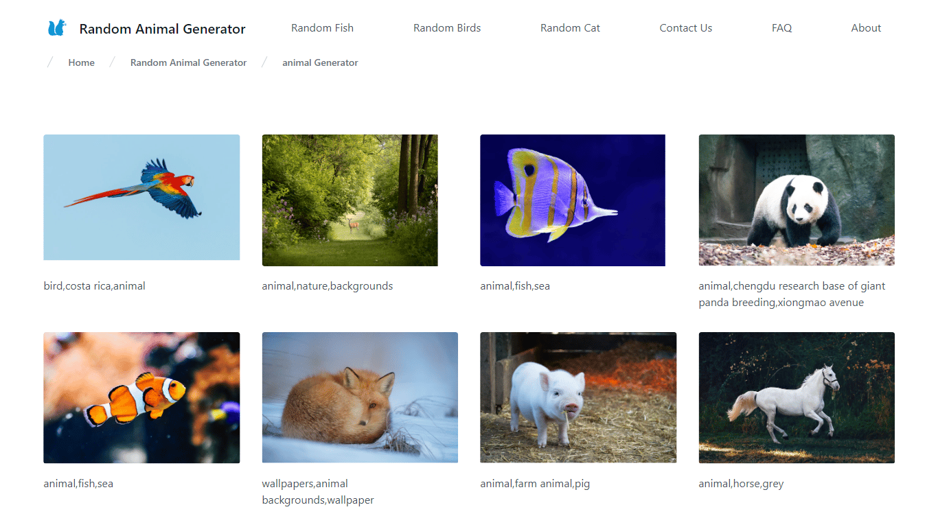 Random Animal Generator