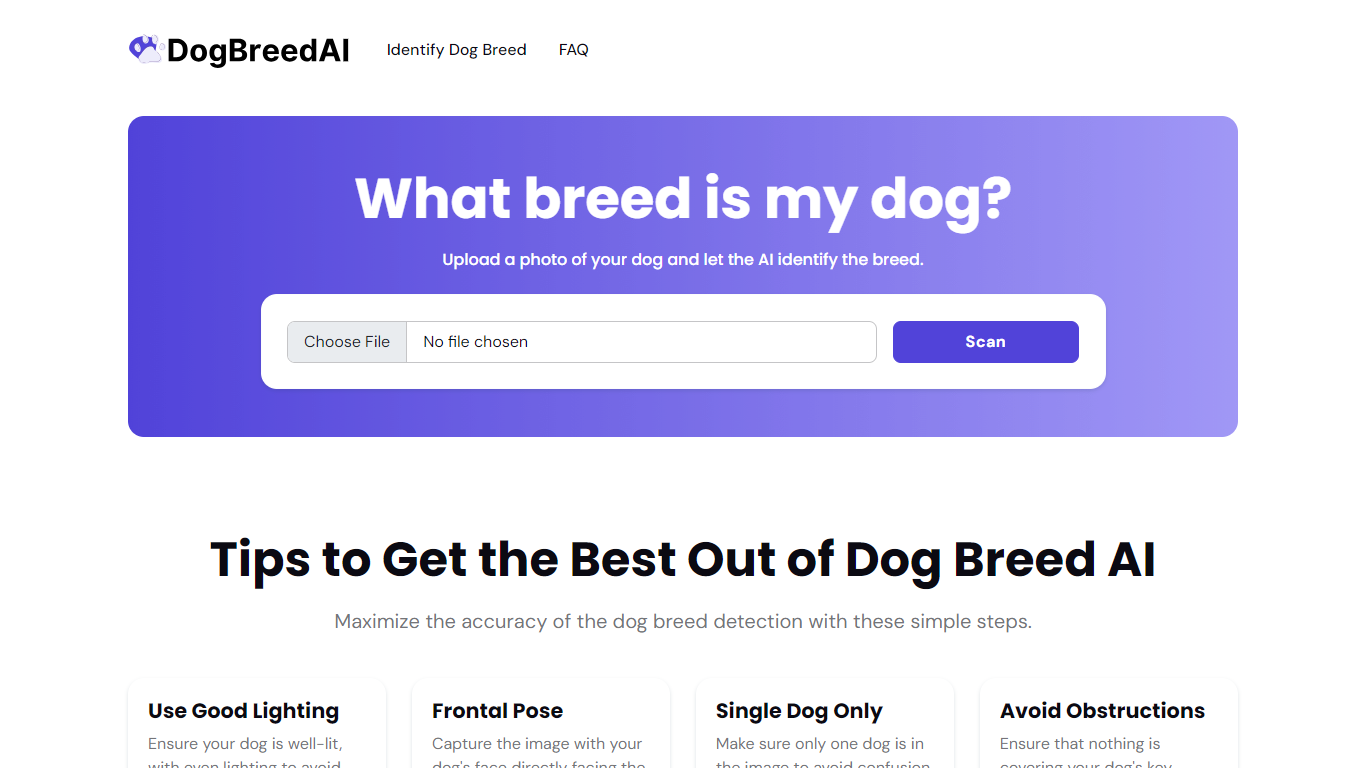 Dog Breeds 