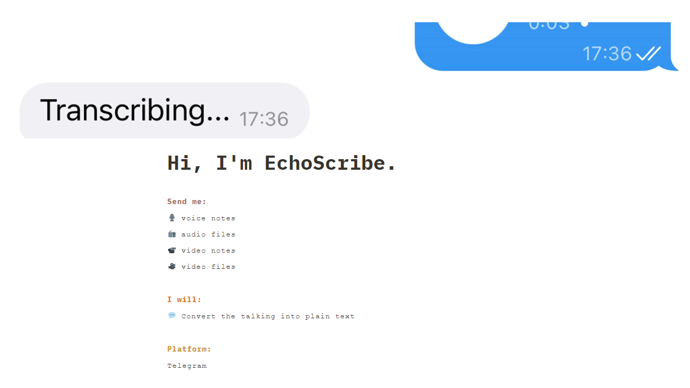 EchoScribe